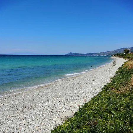 Herodicus Nea Skioni