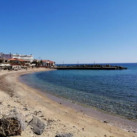 Herodicus Villa Nea Skioni