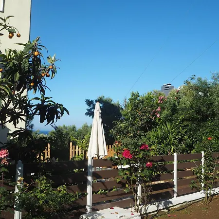 Herodicus * Nea Skioni